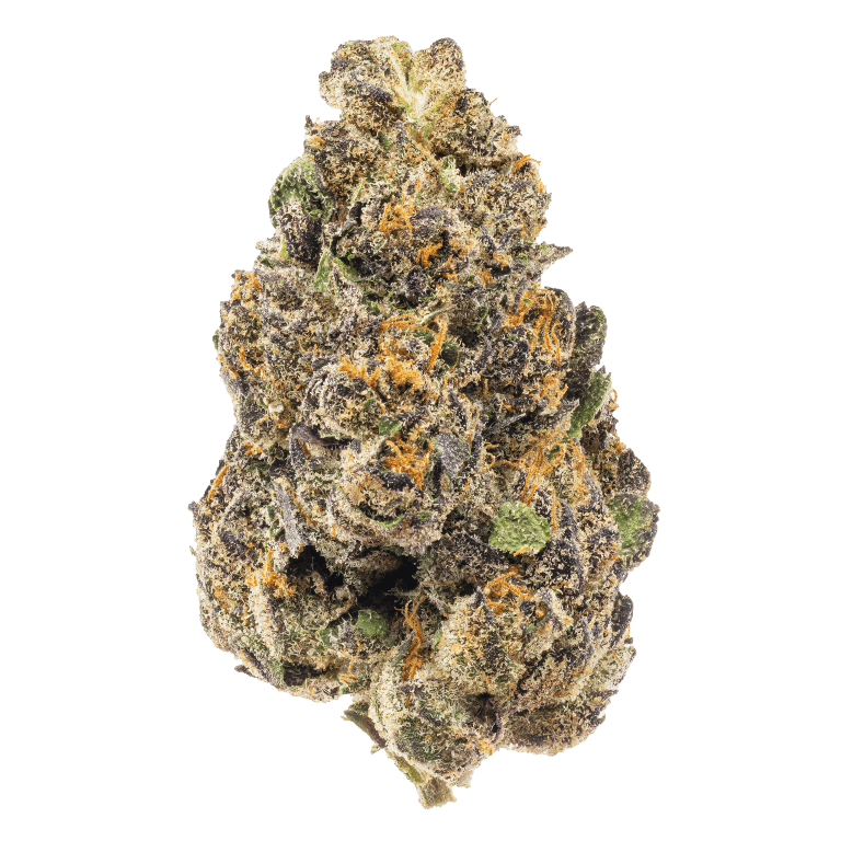 This image has an empty alt attribute; its file name is sherb-cream-pie.png